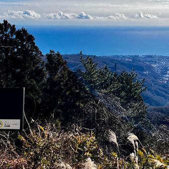 海面が眩しいくらい光っているのが見られました