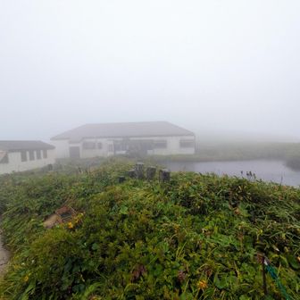 🏠山頂との中間位置にあたる仏生池小屋
ココまで登山道は明瞭、さすが百名山のメインルートと言ったところ👍
雨で滑りやすい所を注意すれば危険箇所もほとんどなし😀