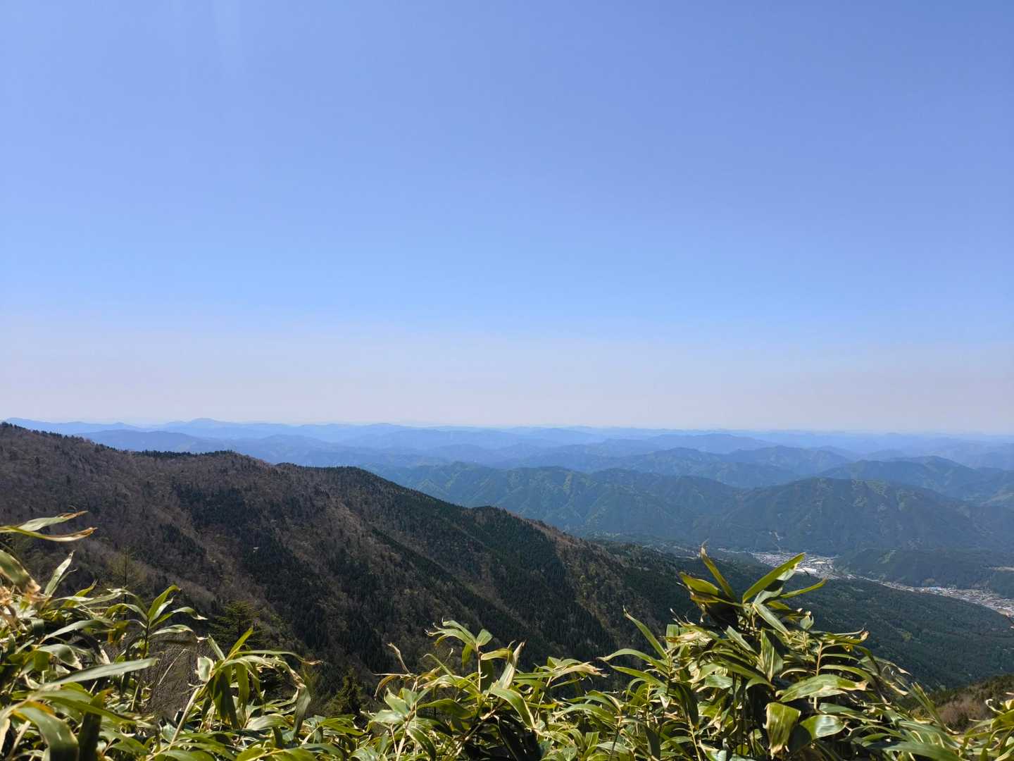 白草山登山口-白草山 往復コースの写真