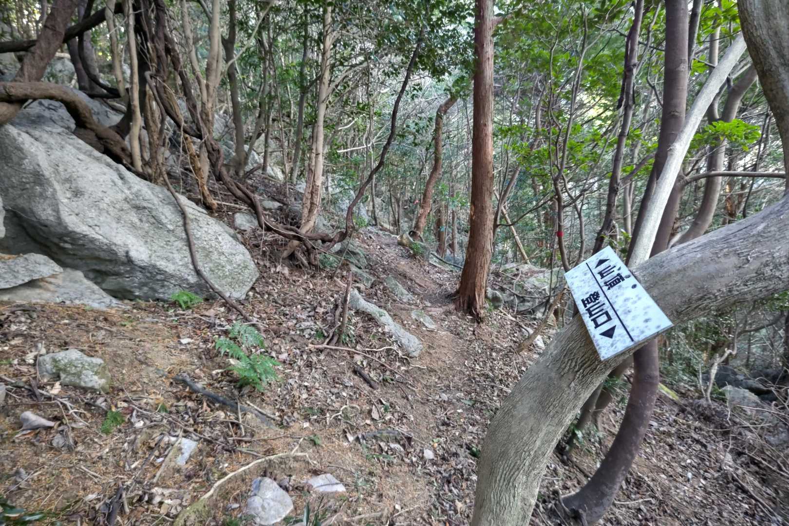 この辺は斜めになっていますが踏み跡があるのでまだ歩きやすかったです。