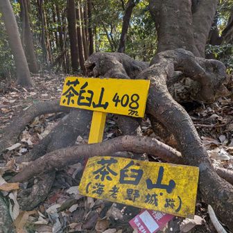 ⛰️茶臼山　408m
スタンプ6個目🦌
鹿の角がありました(右下)