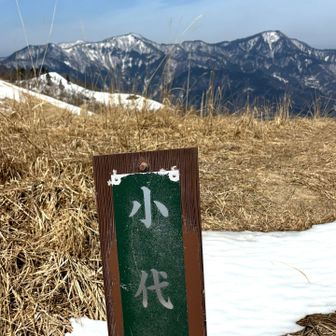 ぶん回しコース稜線に出ました
正面に青ヶ丸・仏の尾