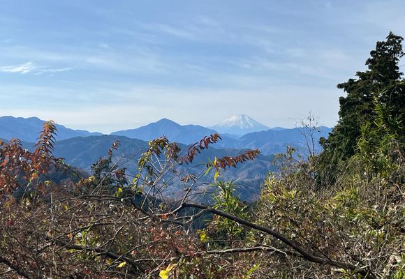 草戸山（東京・神奈川・364m）| 登山ルート・天気 | YAMAP / ヤマップ