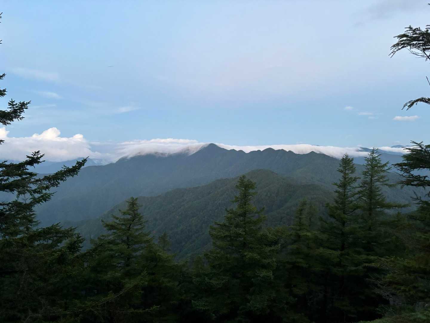 朝特有の、まるでトロロが掛けこぼれるような雲海。