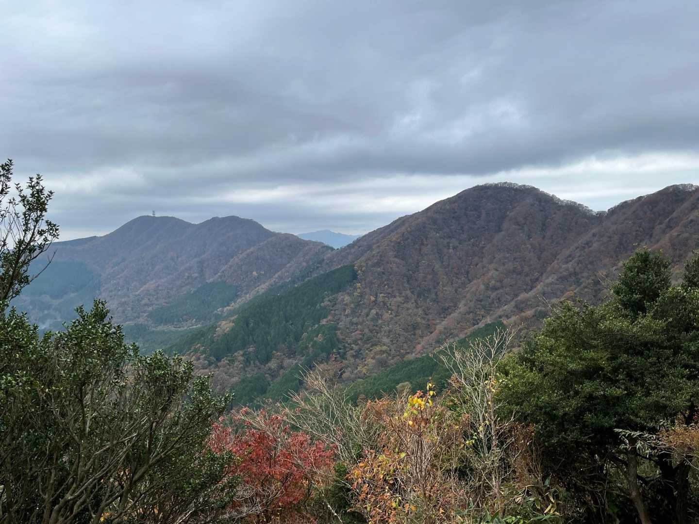 公時神社登山口-金時山-金時山登山口-金時登山口バス停 縦走コースの写真