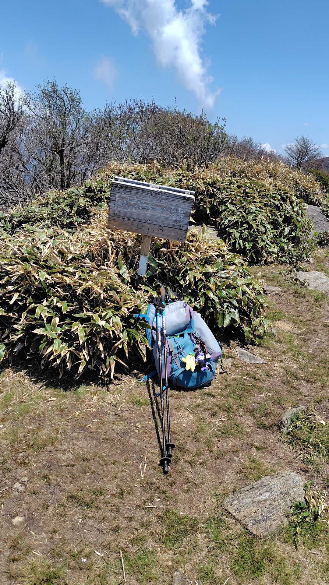 東黒森登山口-伊予富士-東黒森-自念子ノ頭 周回コースの写真