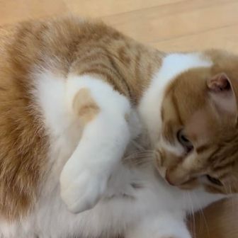 気ままに山あるき