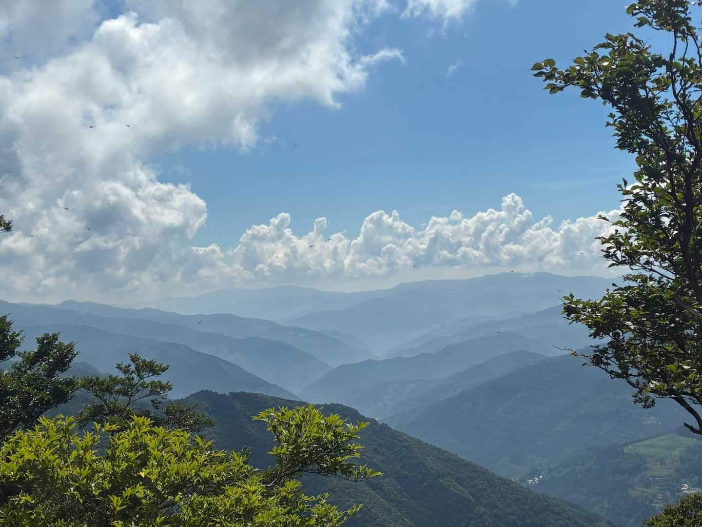 幾重にも連なる山並🤩
さすが秘境の椎葉村