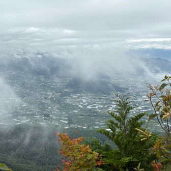 景色はところどころ…😶‍🌫️
晴れてたら素晴らしい景色だと思う🏔️✨
なぜ百低山？