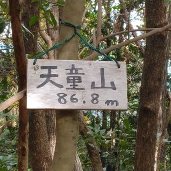 ⑤隈目の天童山（別名中ノ隈山）