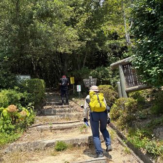 今日のお山！黒滝山、白滝山へ。さくら堂登山口から。