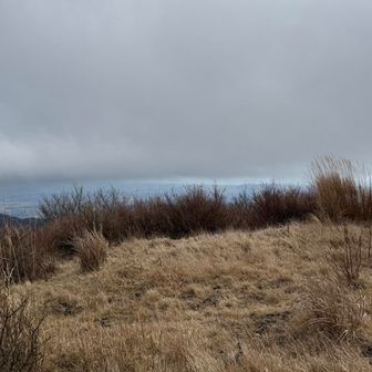 こっちも江の島くらいまで見えました。
上から雲の壁が迫って来ています☁️
