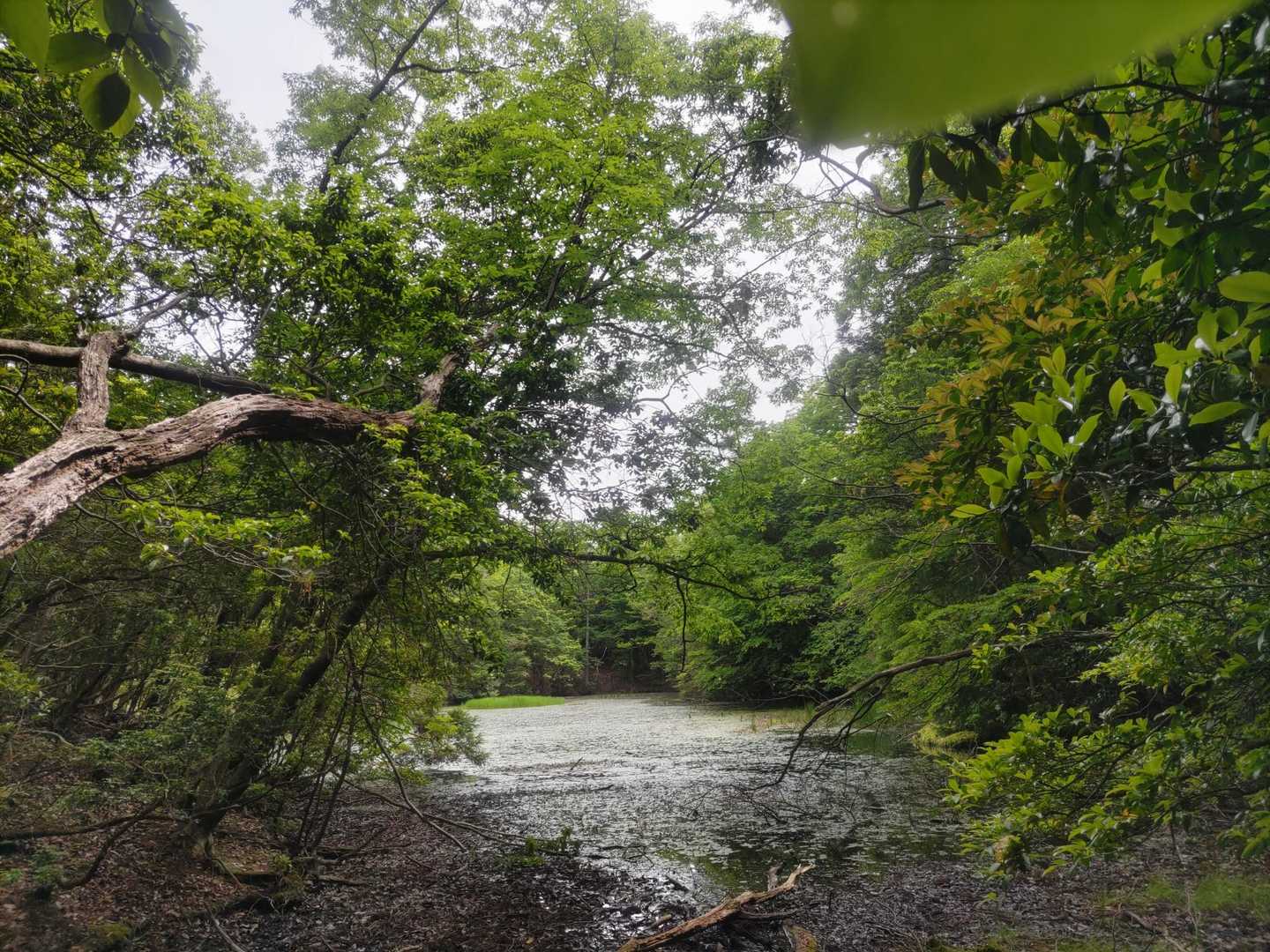 ノタノホリに到着

もう直ぐ下山完了
