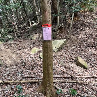 お次のお山へ。取り付きに罠😭括り罠が見えたので避けて登ります