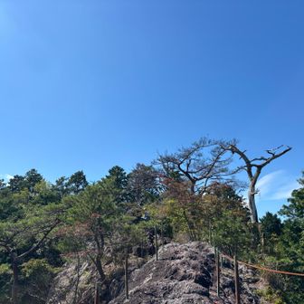 瑠璃山⛰️
何となく色づいてるね🍁