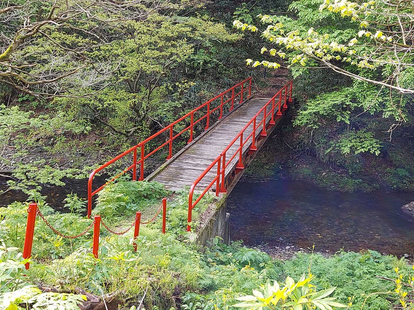 そしてここからが登山道👣