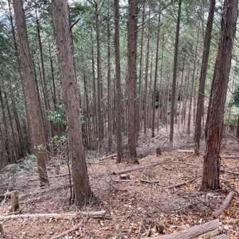 さっさと下山🚶‍♀️下りも気をつかう💧