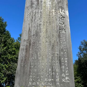 ちゃく💦。。。。。小倉城山🏯⛰️