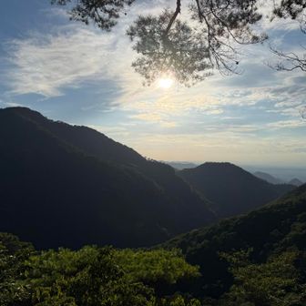 魚屋道の景色
