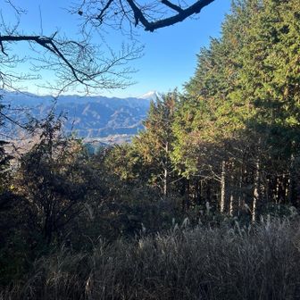 尾根にでるとすぐに富士山が・・・でもこのあと雲の中へ