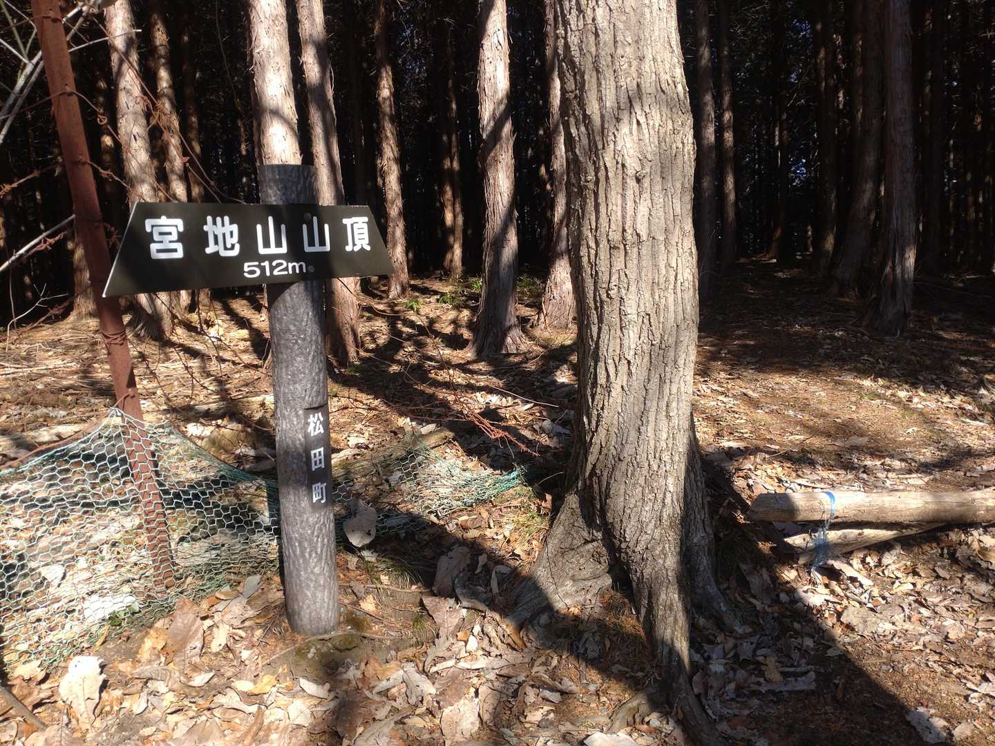 ヤマップのピークとは違う所にありました