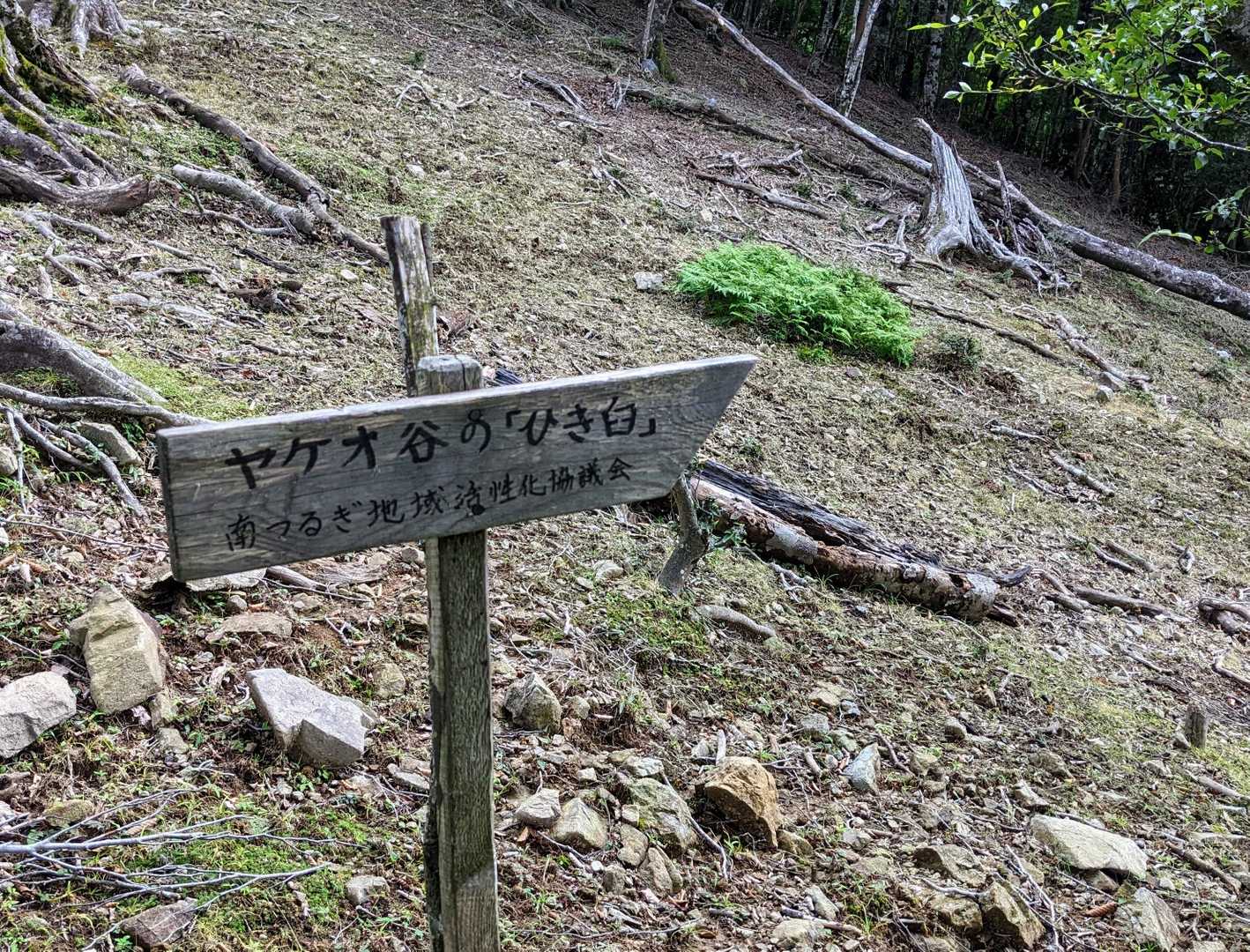 ひき臼探そうとしたんですが、
目印も踏み跡もなかったので諦めました。
どこにあるのか知ってる人いたら教えて下さい😂