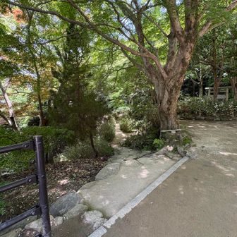 ここから清荒神へ向かいます。