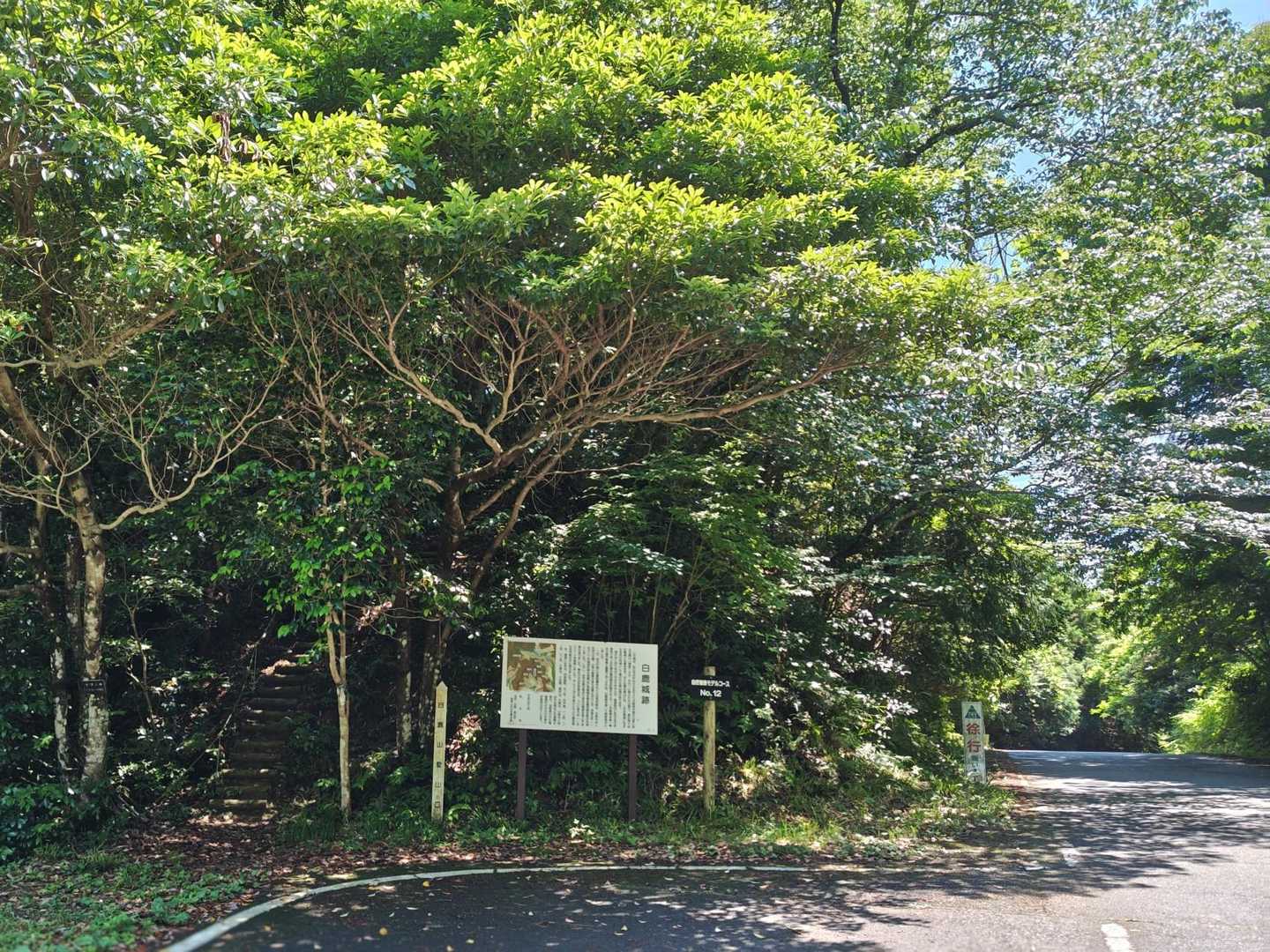 下山して振り返ったら、白鹿山の登山口!
