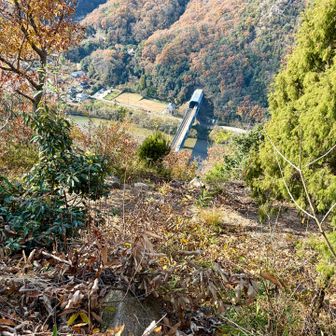 トンネルから新幹線🚄。