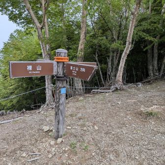 裸山頂上
