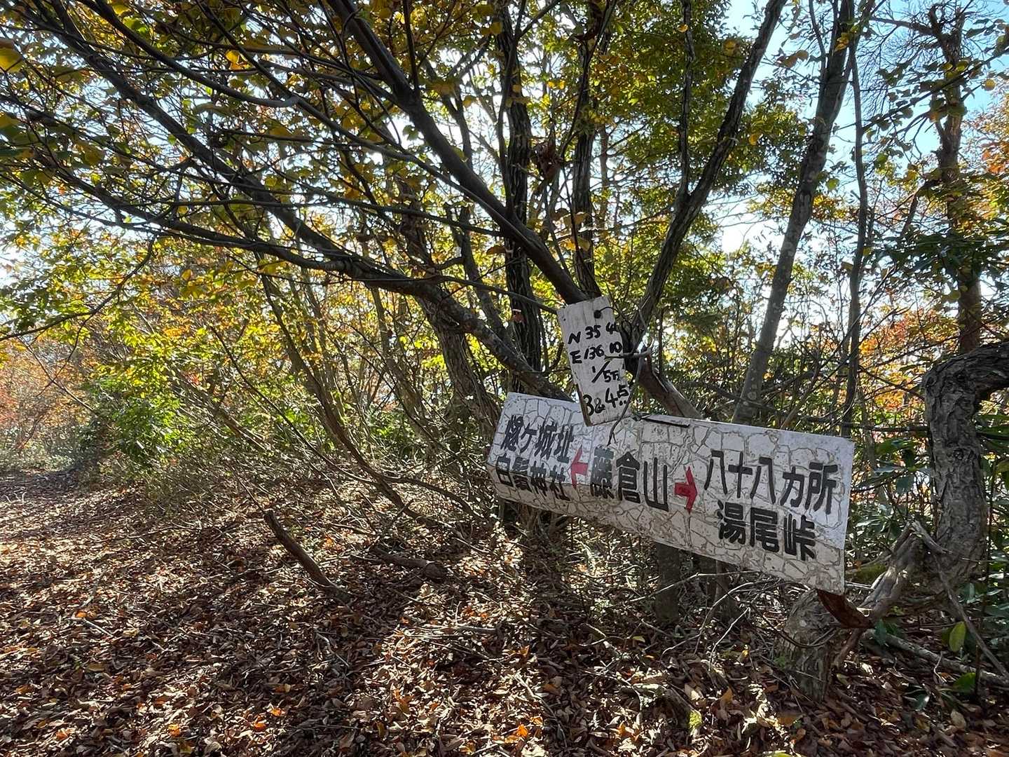 そりゃあ〜キター❗️