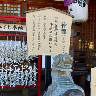 神龍の玉も撫でさせていただく
（Dragon boll好きやったからシェンロンって言いがち😅）