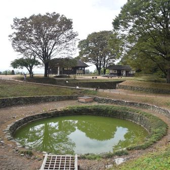 池
