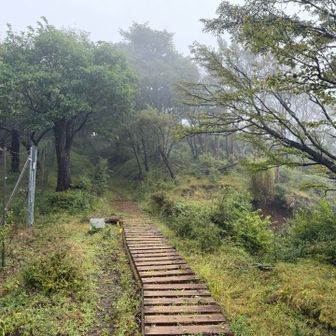 素敵な木道
途中で、キム兄さんと遭遇。

YouTubeで見た通り、楽しい雰囲気の方でした😆