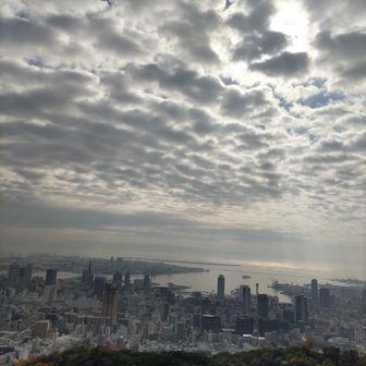 大阪湾まで見渡せる