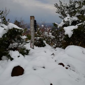 としちゃんさん