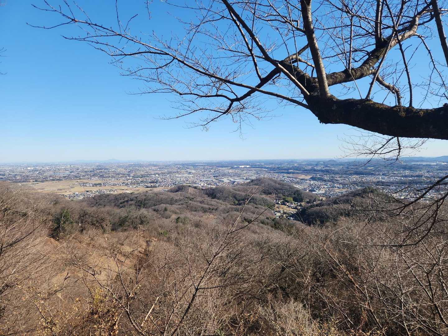 八幡山-鐘撞堂山 往復コースの写真