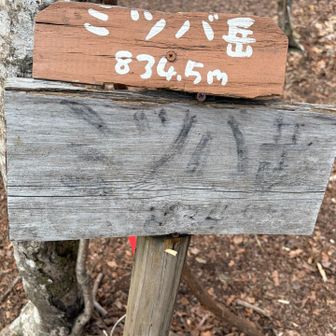 ミツバ岳山頂は人が多すぎるので、秒で通過しました😅