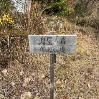 頂上ではないのでご注意ください。