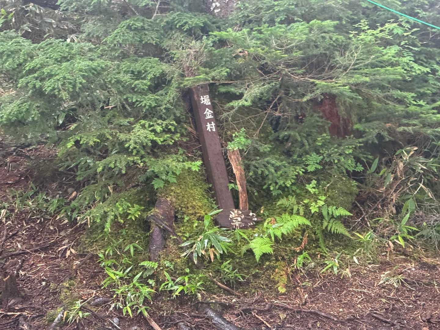 ここからあと2時間弱かかります😅
しかもこの後本降りの雨が降ってきて
ビショ濡れになりながらの下山になりました😩