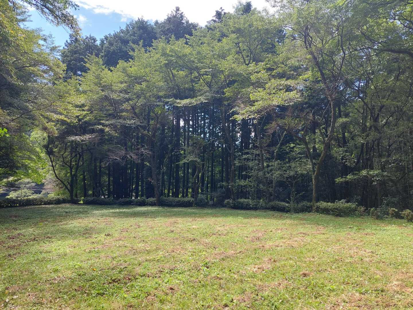 ハイ(-o-)/下山💨💨
下りの写真は前の一枚で終了(笑)
