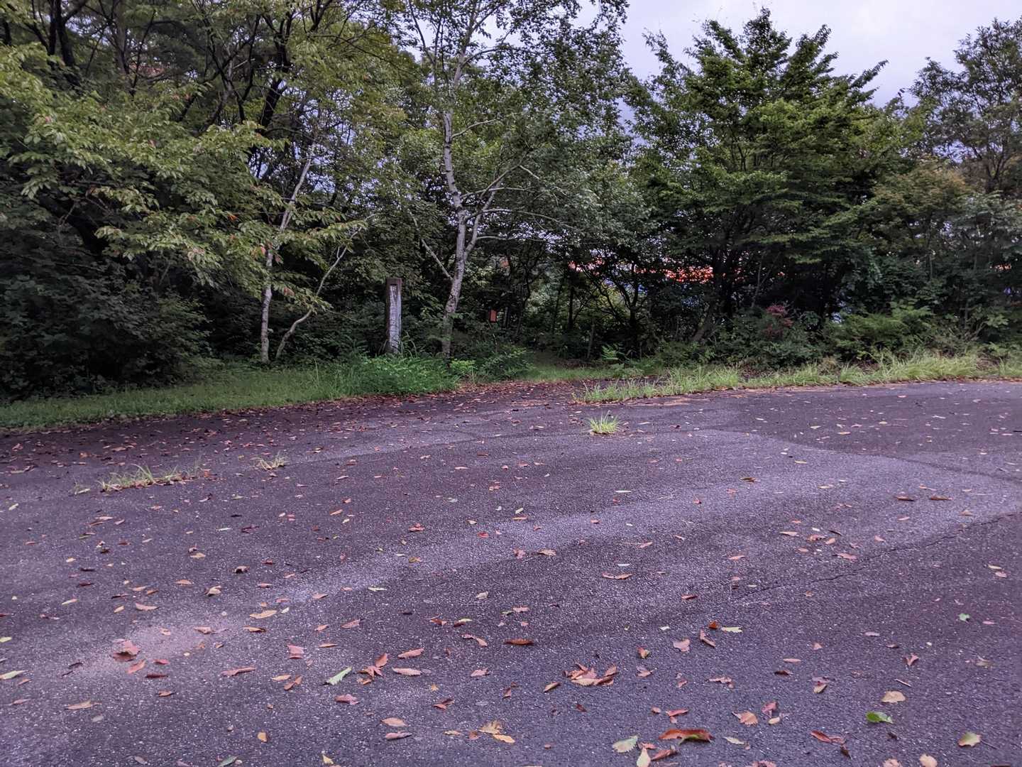 林道から枝分かれした道で、結構上まで車が入れる。西入口広場からスタート。