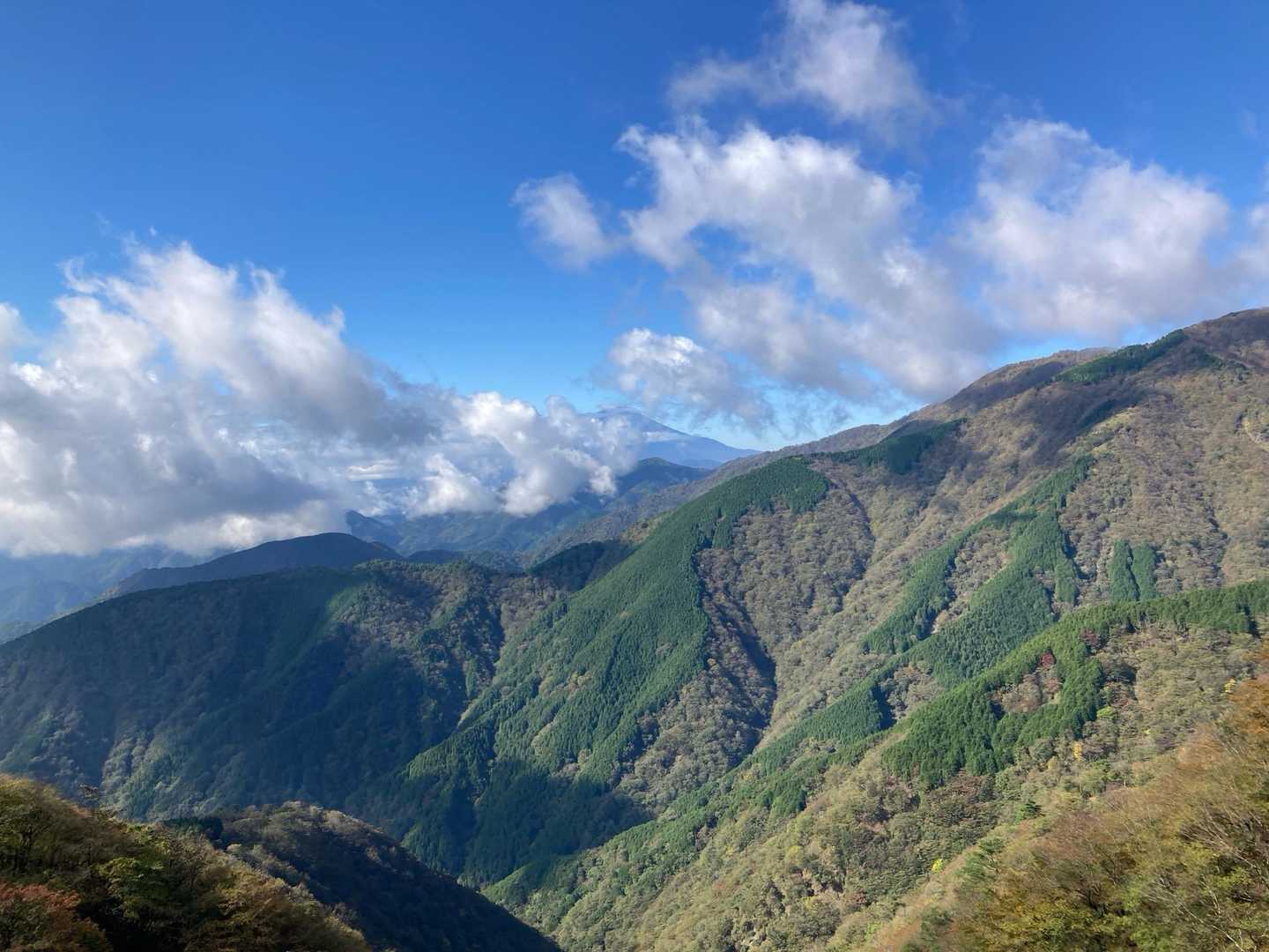 ヤビツ峠-三ノ塔-烏尾山-行者ヶ岳-木ノ又大日-塔ノ岳-日 縦走コースの写真