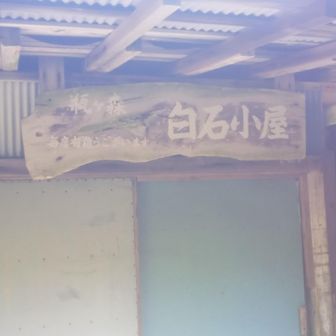 です