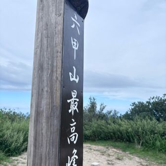 で横から😁色々な角度から見るべきやろな👍