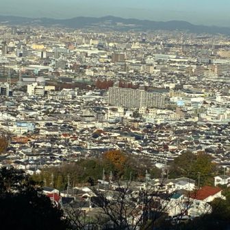 街並みが鮮やか🏙️