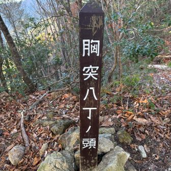 しんどいの、終わりやー🙌