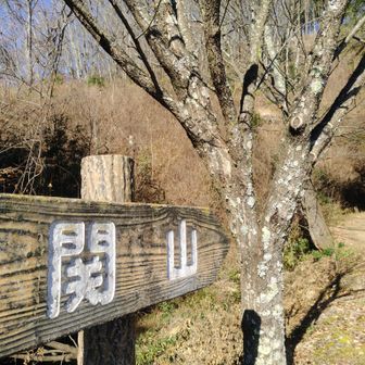 凄く整備されてて