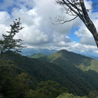 焼尾山手前のこの場所が大好きで、来たかった理由
残念ながら紅葉もないし、霊仙も雲で見えないけど、最初に見た時の感動を思い出す