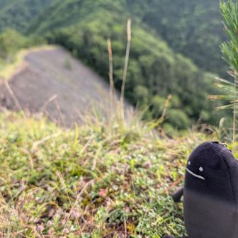 青ナギだよなすお！